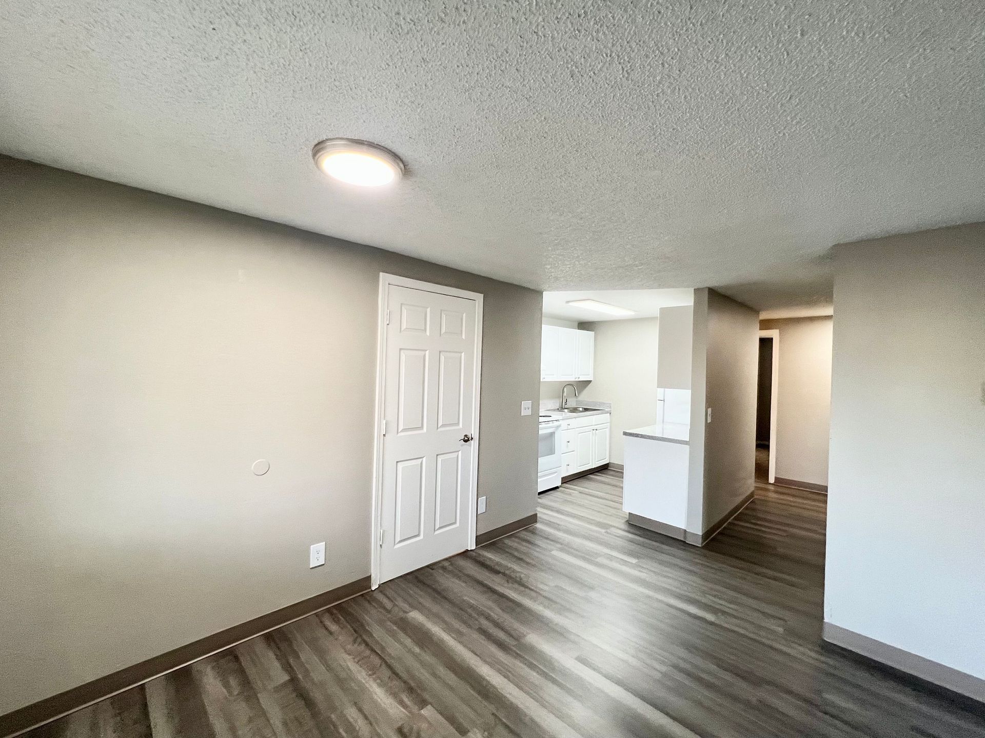 Empty apartment room with gray walls, wood flooring, and a view into the kitchen area