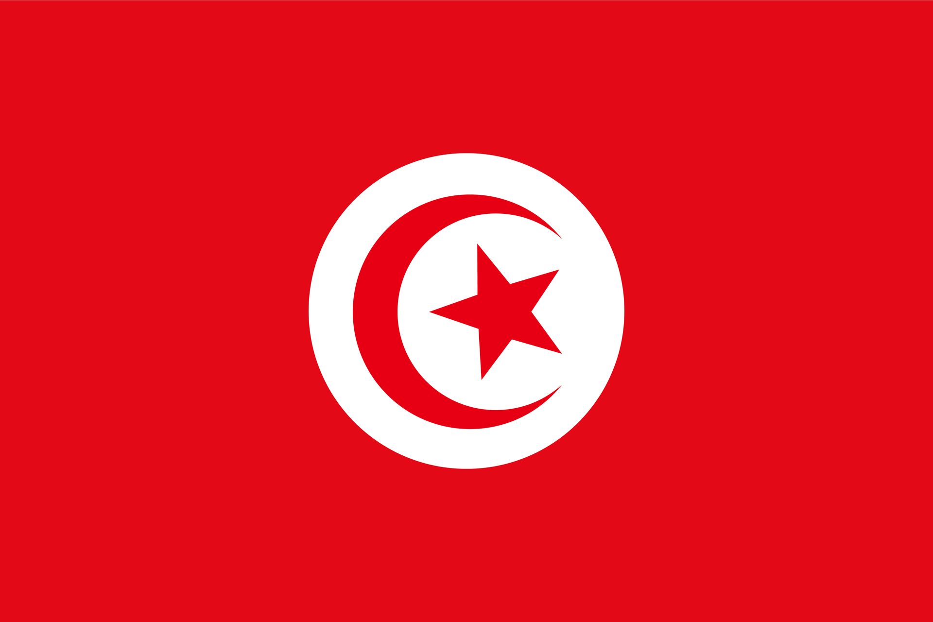 Rote Flagge mit einem weißen Kreis, der eine rote Mondsichel und einen fünfzackigen Stern enthält.