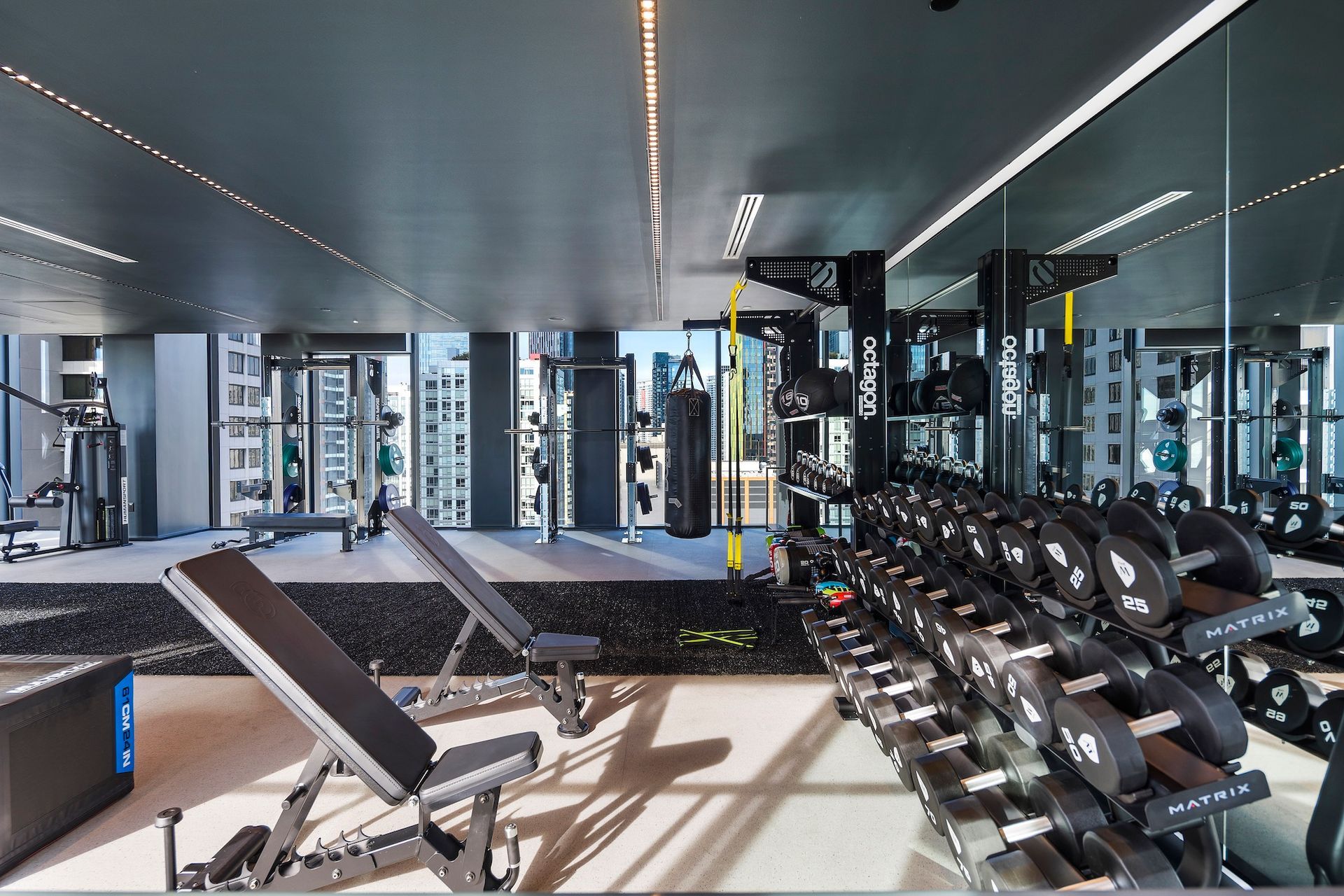 Modern gym interior with dumbbells, benches, mirrors, and city views through large windows