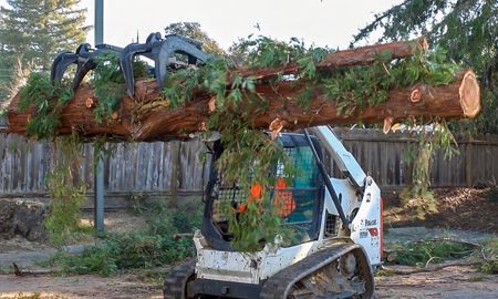 Bobcat tractor with a large log grasped by its grapple; outside.