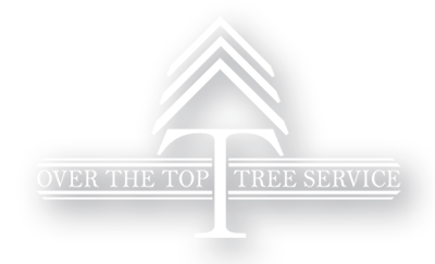 Logo for Over The Top Tree Service: stylized white tree with horizontal text 