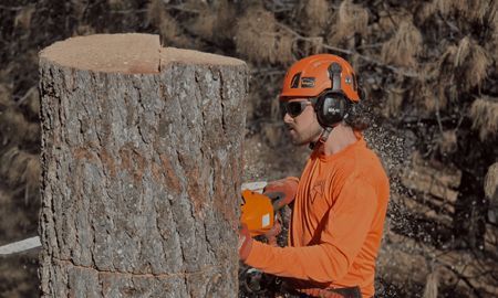 Arborist in orange protective gear using a chainsaw to cut a tree trunk.
