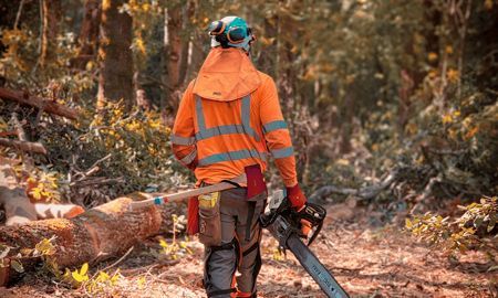Lumberjack walking through a forest, wearing orange safety gear and carrying a chainsaw.