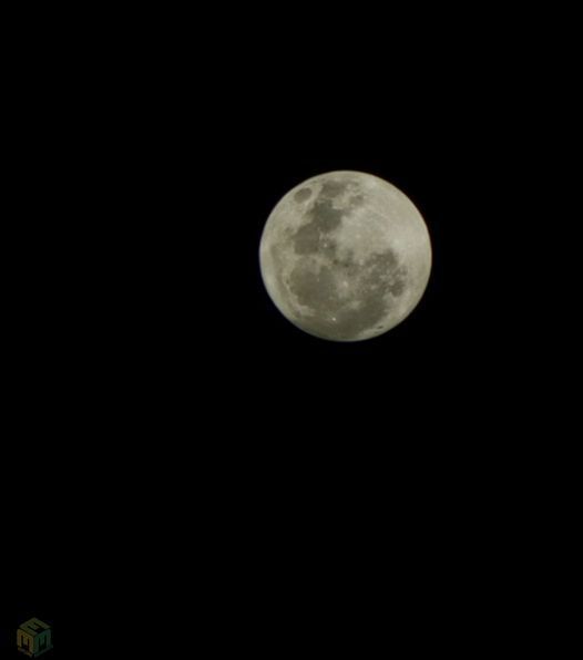 Full moon in the night sky, showing craters and variations in surface texture, against a black background.