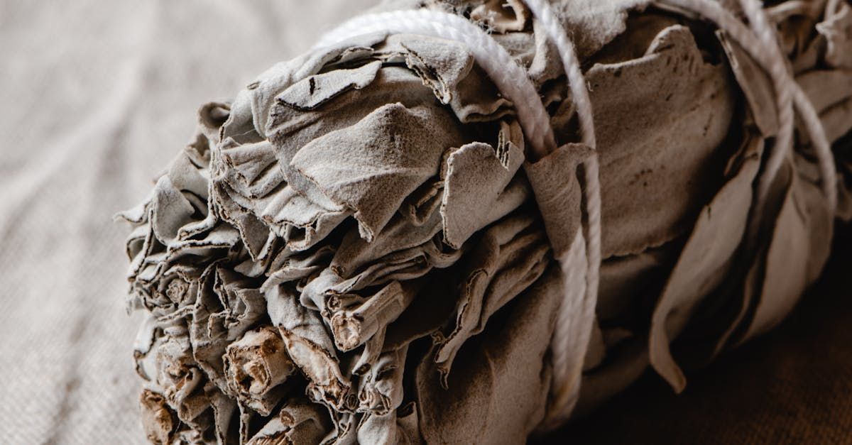 Dried white sage bundle tied with string.
