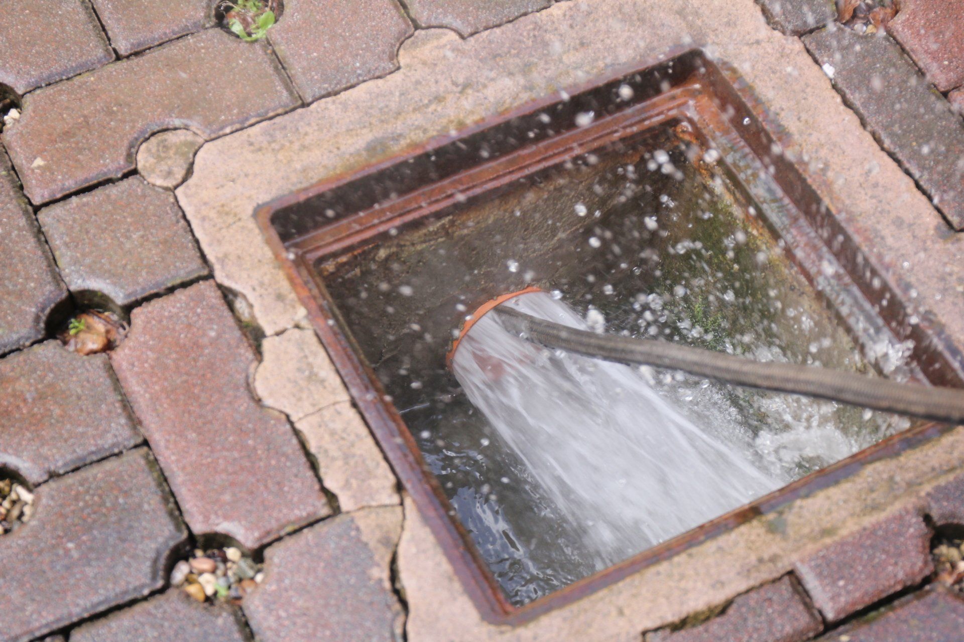 eco-spurgo-scuole-ospedali-pubblica-amministrazione