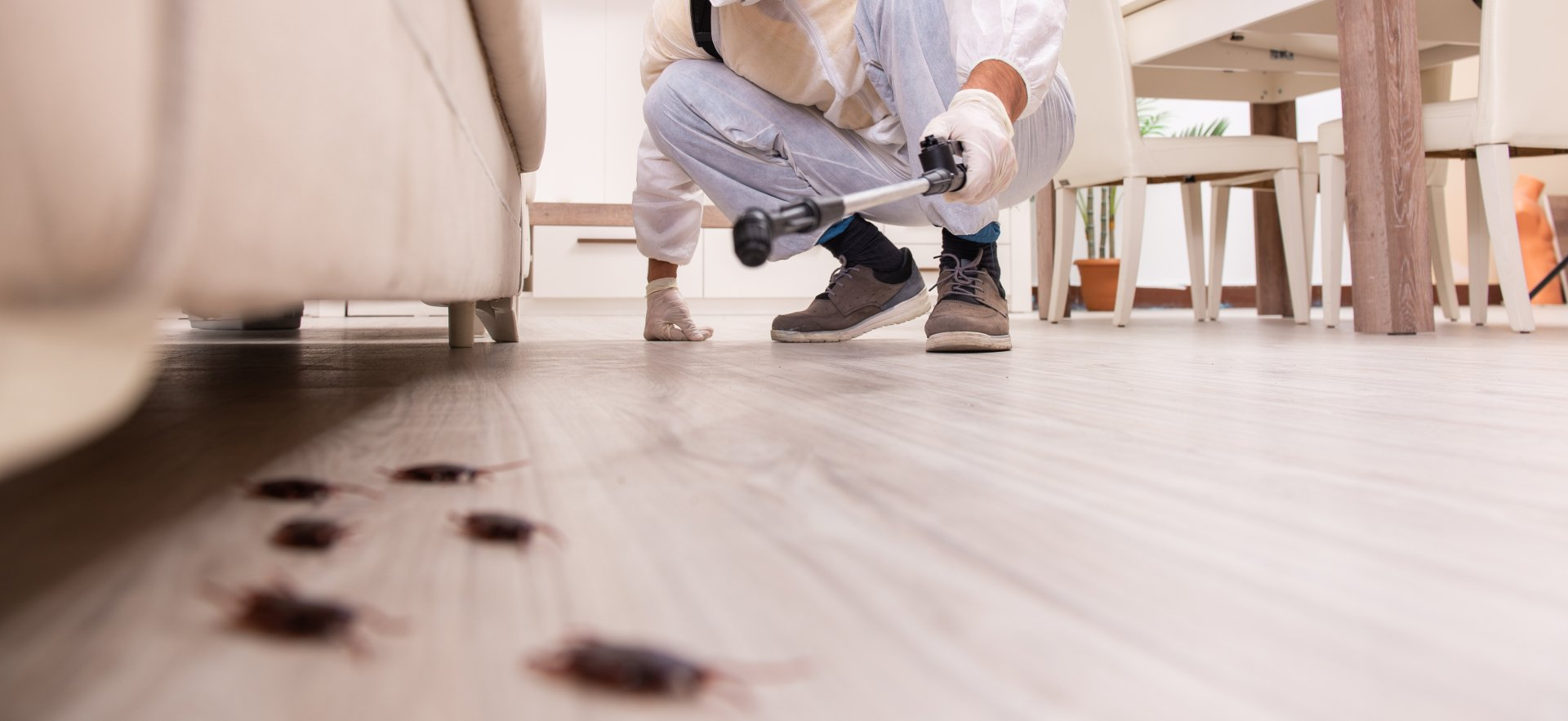 disinfestazione-derattizzazione-reggio-emilia-spurgo