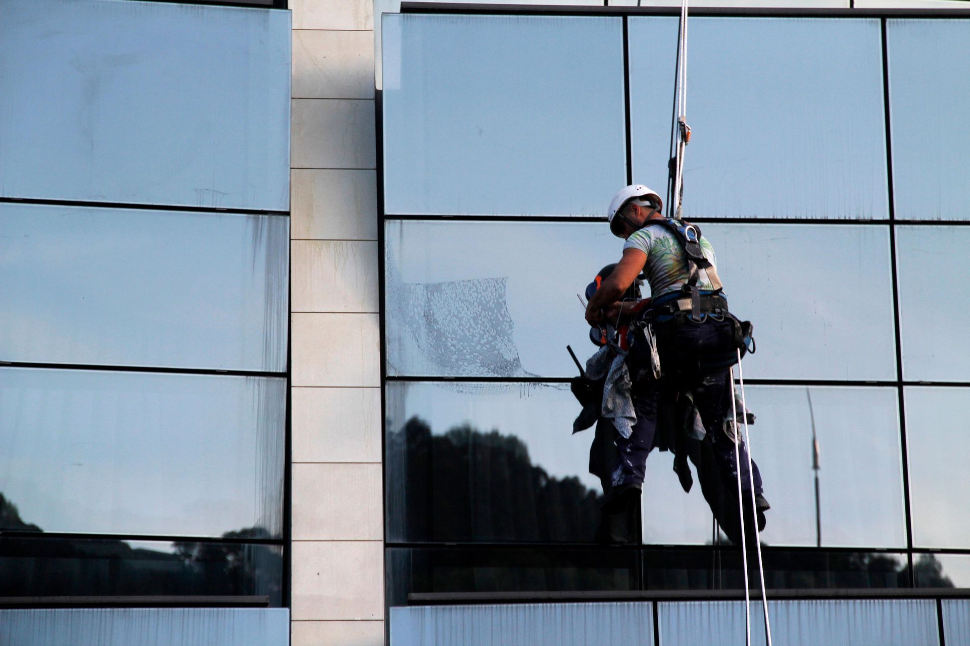 Window washer suspended on ropes cleaning a glass building.