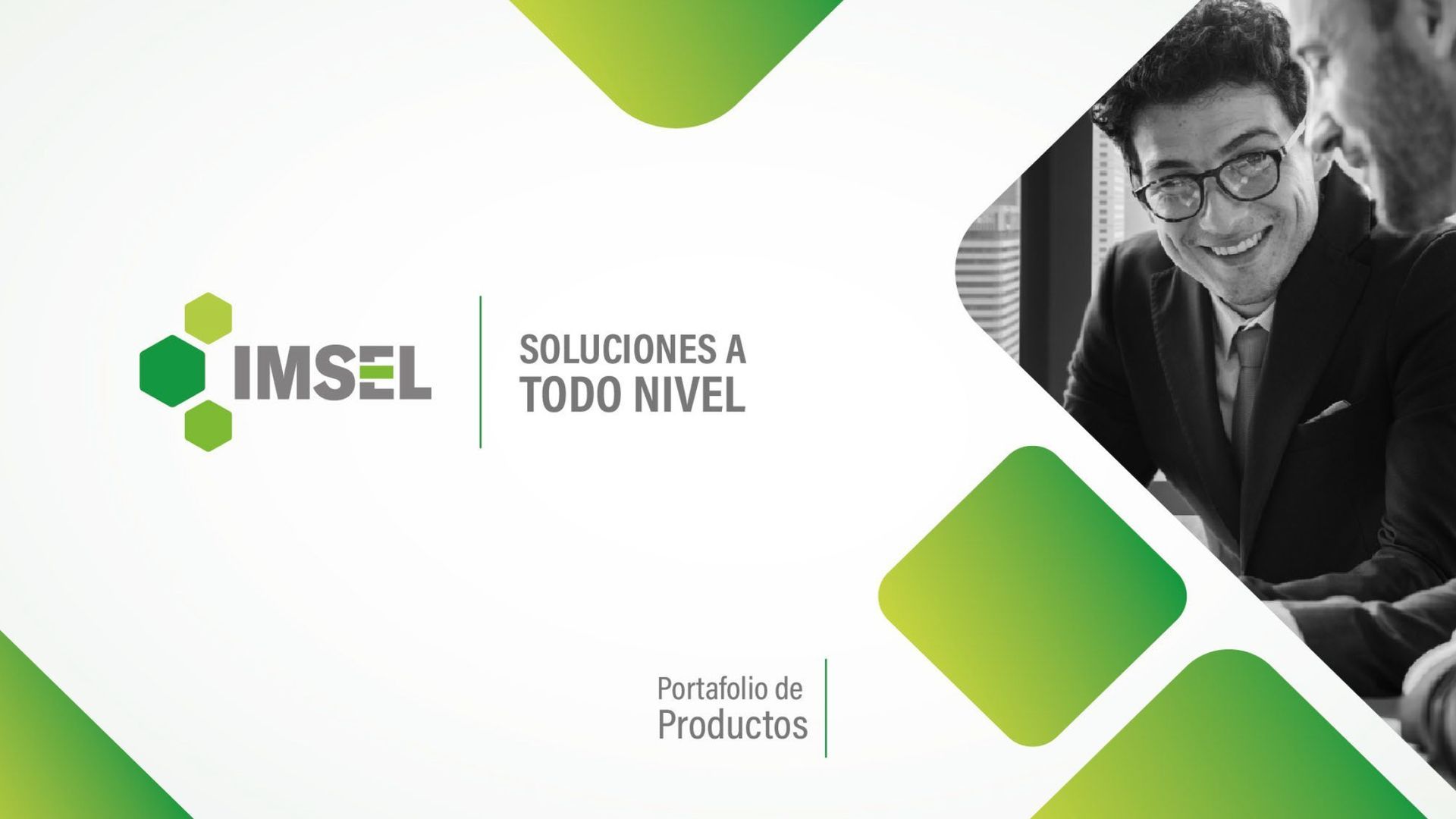 Logotipo IMSEL con texto 
