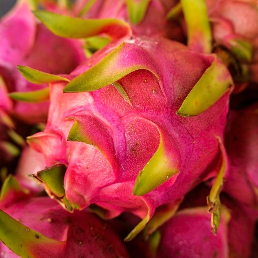 A vibrant macro close-up of fresh pink dragon fruit (Pitaya) at Rusty’s Market in the Cairns city center. This iconic market, founded by Emrys 'Rusty' Rees in 1975, features over 180 stalls and is a premier location for local produce highlighted by Cairns Urban Walking Tours. This image captures a key local experience for travelers researching the best things to do in Cairns city center in 2026.