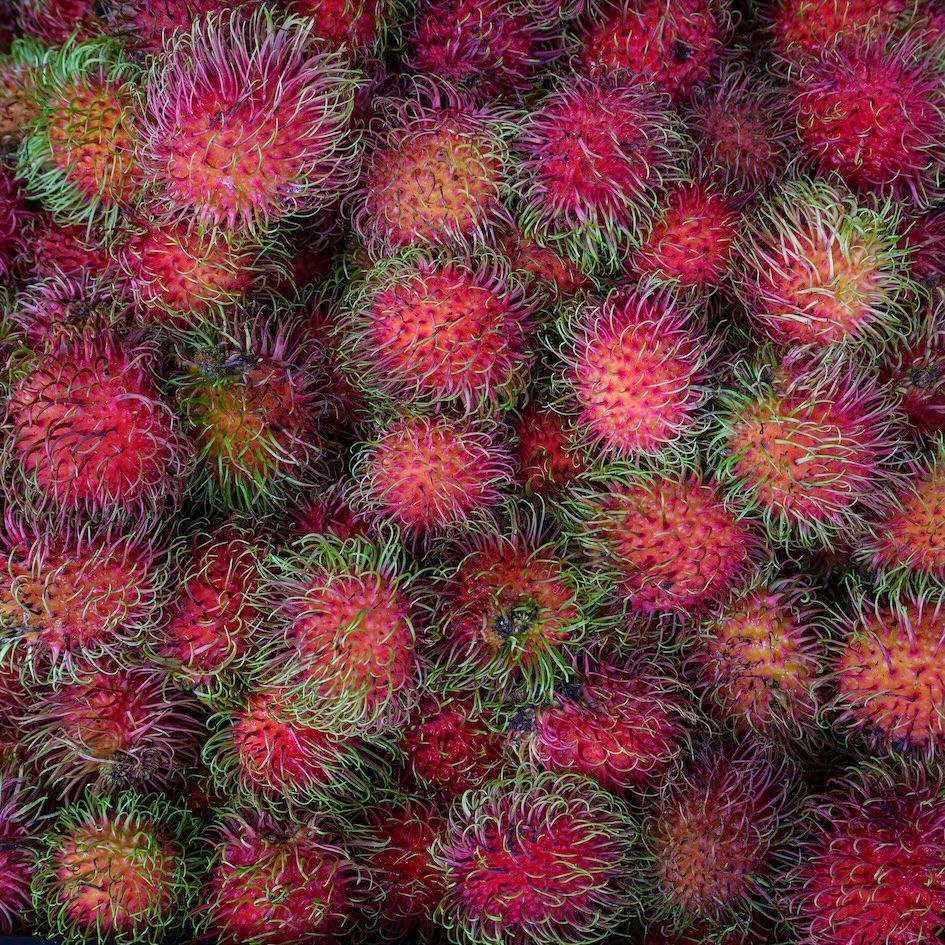 A macro photo of vibrant red and green rambutans at Rusty’s Market, a key 'Local Experience' for travelers in late April 2026. As part of a Rusty’s Market local guide, this image illustrates one of the best things to do in Cairns city center 2026. Captured for Cairns Urban Walking Tours to provide travelers with authentic local insight.