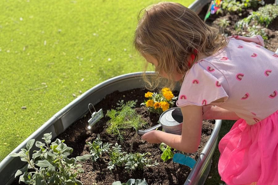 Motnessori child watering plants.