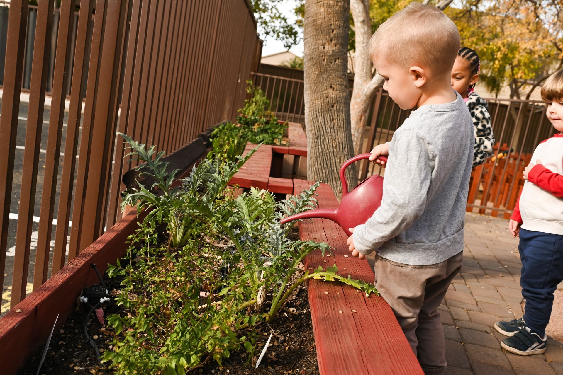 Montessori Toddler watering plants in the garden.