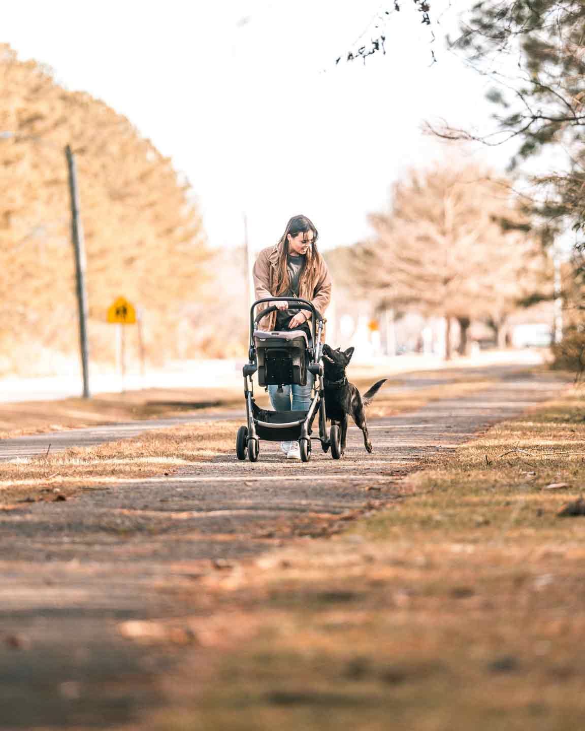 Person pushing a stroller, dog walking beside them on a path lined with trees and a road sign.