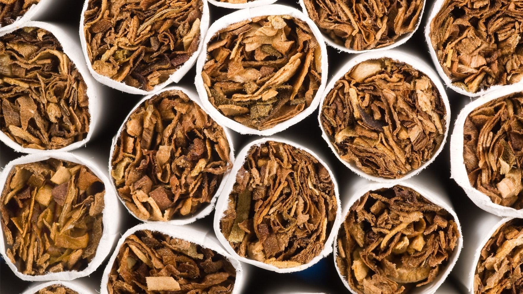 Arkansas Tobacco and Smoke Shop Insurance
