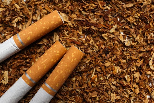 tobacco mosaic virus control Mosaic Virus Symptoms and Treatment