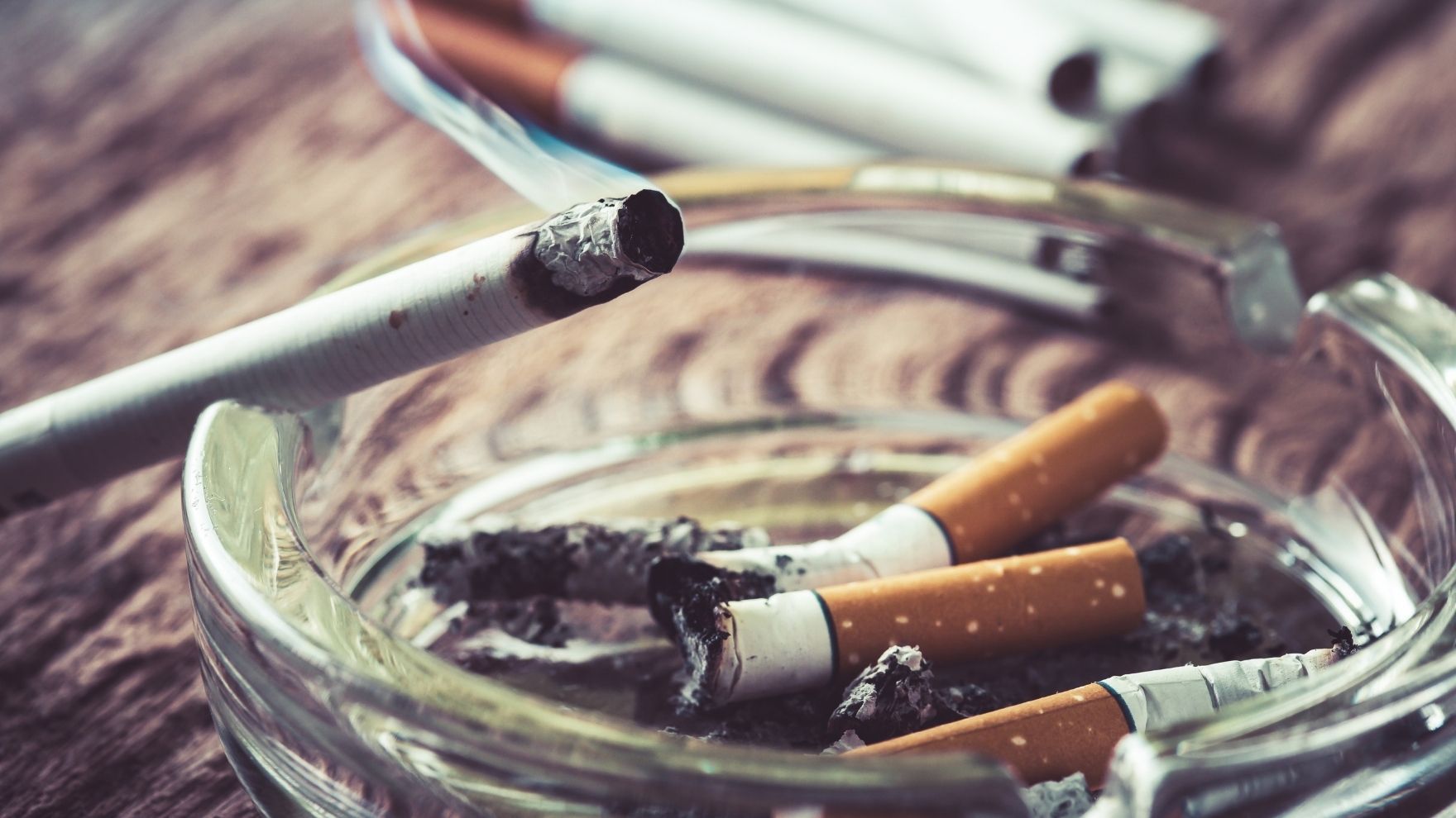 tobacco selling license APPLICATION AND NOTICE FOR LICENSE TO SELL TOBACCO