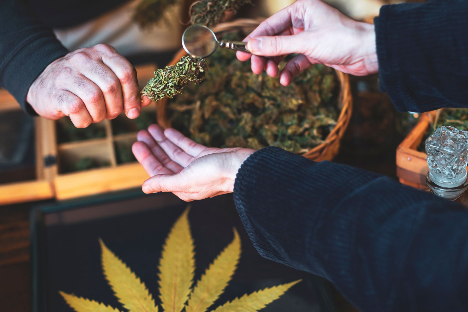 Tax Implications of Cannabis Insurance for Business Owners