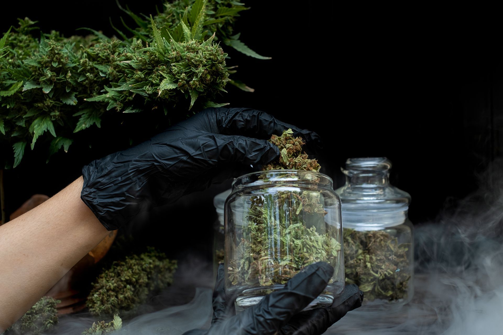 Why Product Quality Matters More Than Ever for Cannabis Businesses