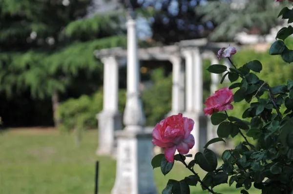 Giardino casa anziani