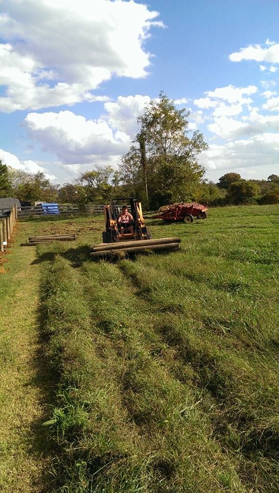 A tractor is cutting grass in a field on a sunny day.