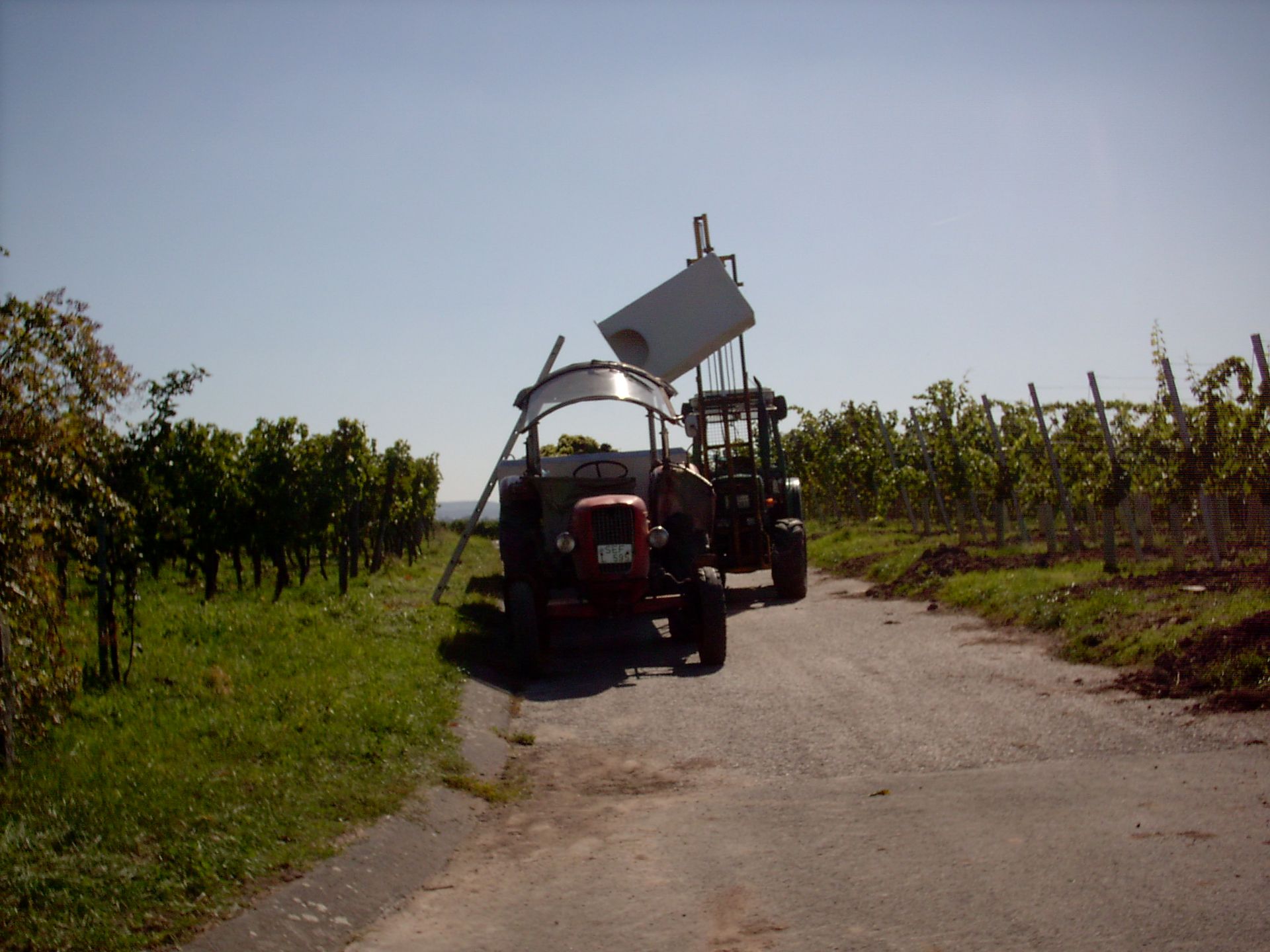 Traktoren im Weinberg 