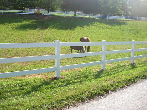 Agricultural Fencing