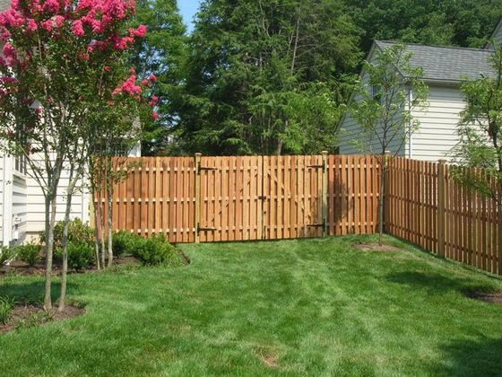 Picket or Privacy
