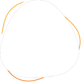 A drawing of a circle with orange lines on a white background.
