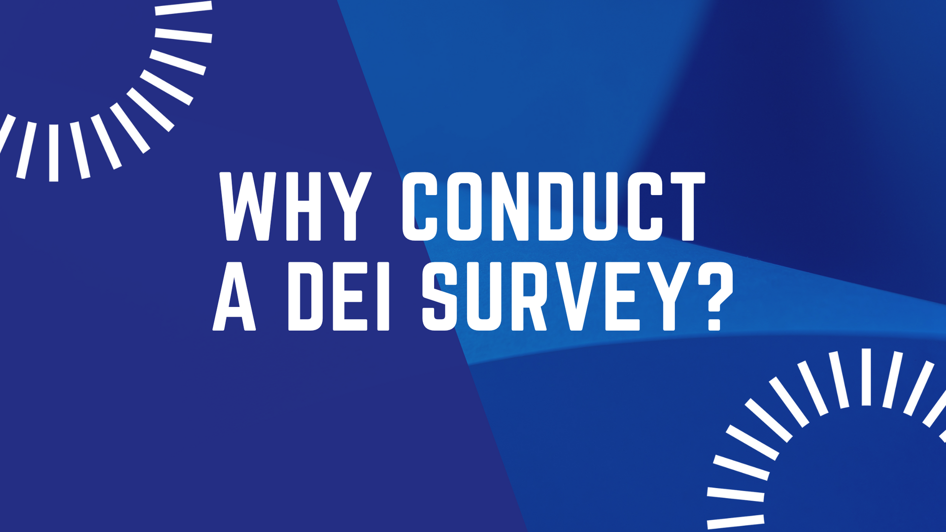 why conduct a dei survey