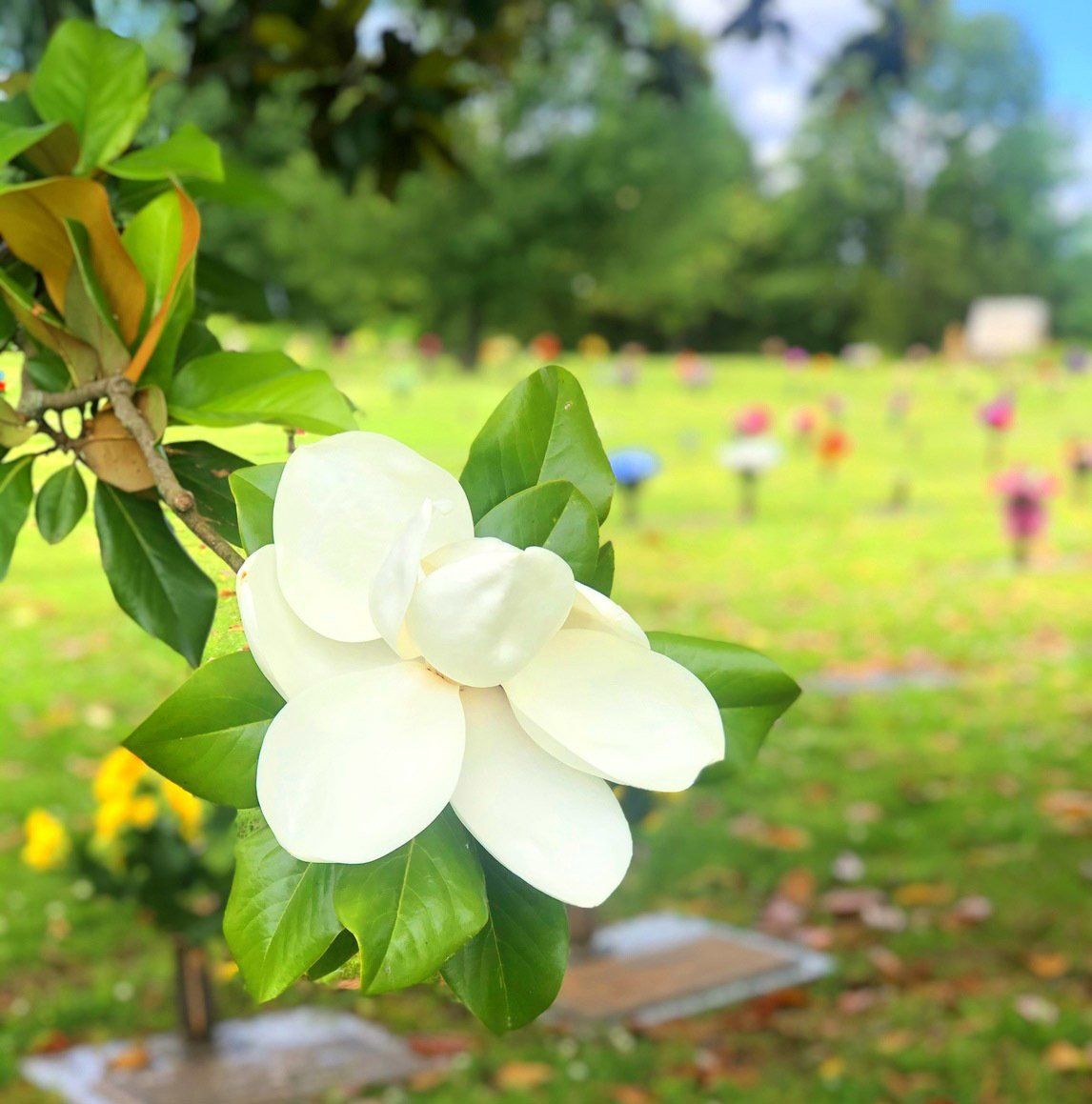 Caring, Concerned And Compassionate