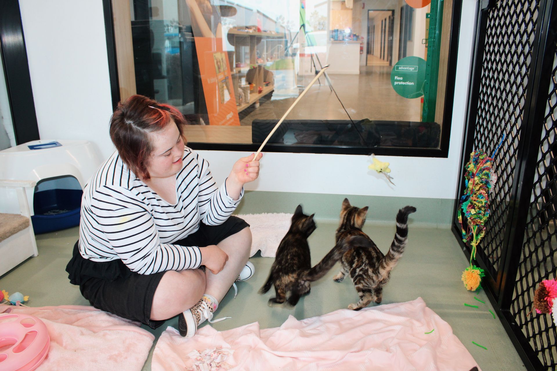 Semloh Support Services | Registered NDIS Provider | Toowoomba, Darling Downs and Western Downs | Disability Support Services