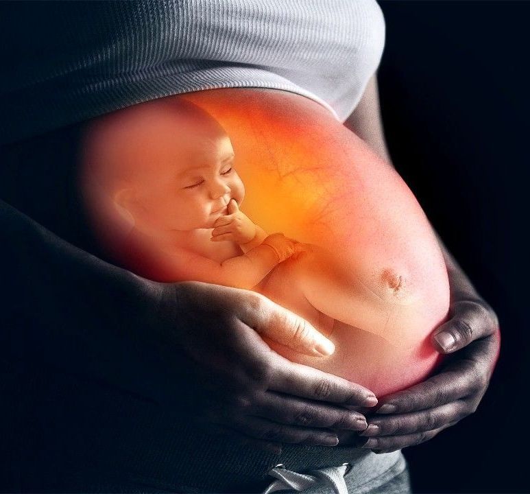 Una mujer embarazada sostiene un bebé en su vientre.