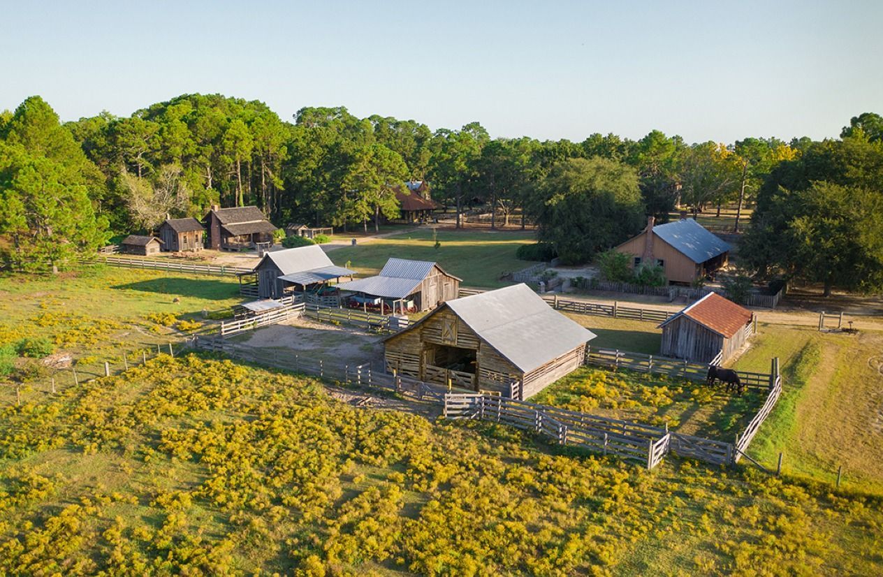 Rural farmstead with thatched-roof buildings beside fields and trees under a clear sky