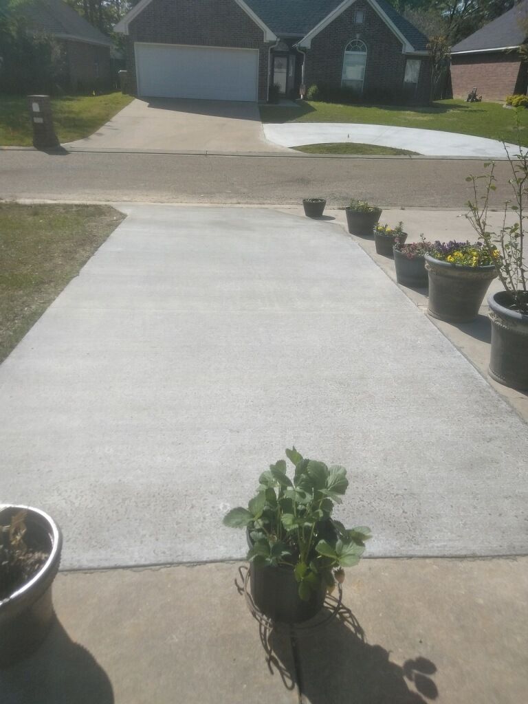 A row of potted plants on a sidewalk in front of a house