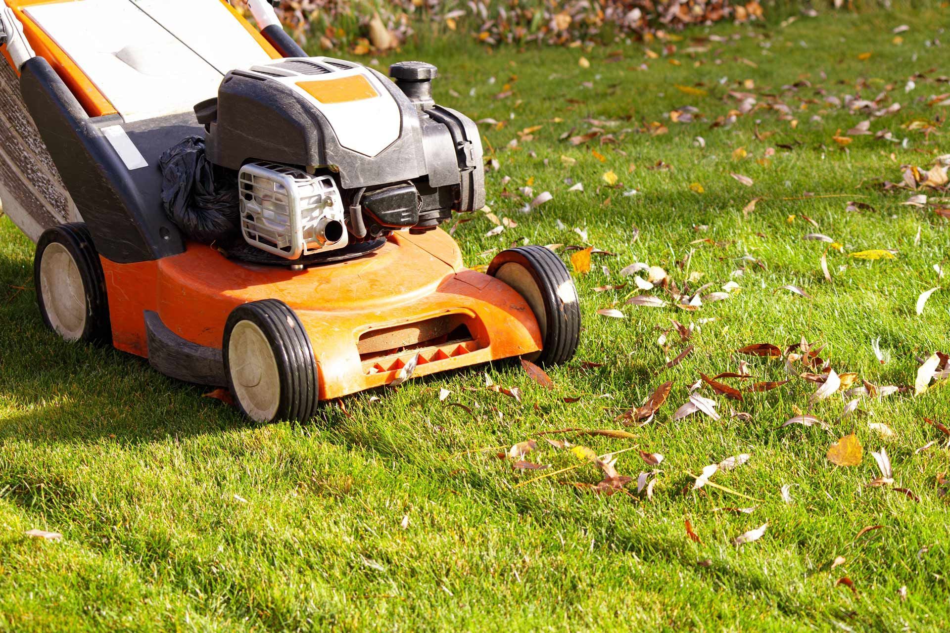An orange and white lawn mower is cutting a lush green lawn