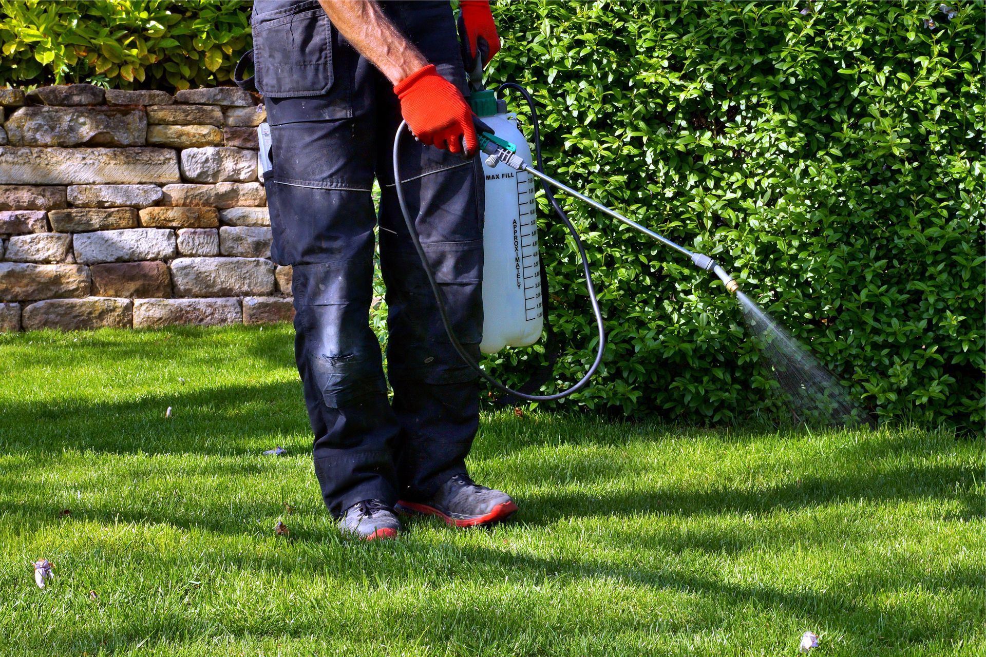 A man is spraying a lawn with a sprayer