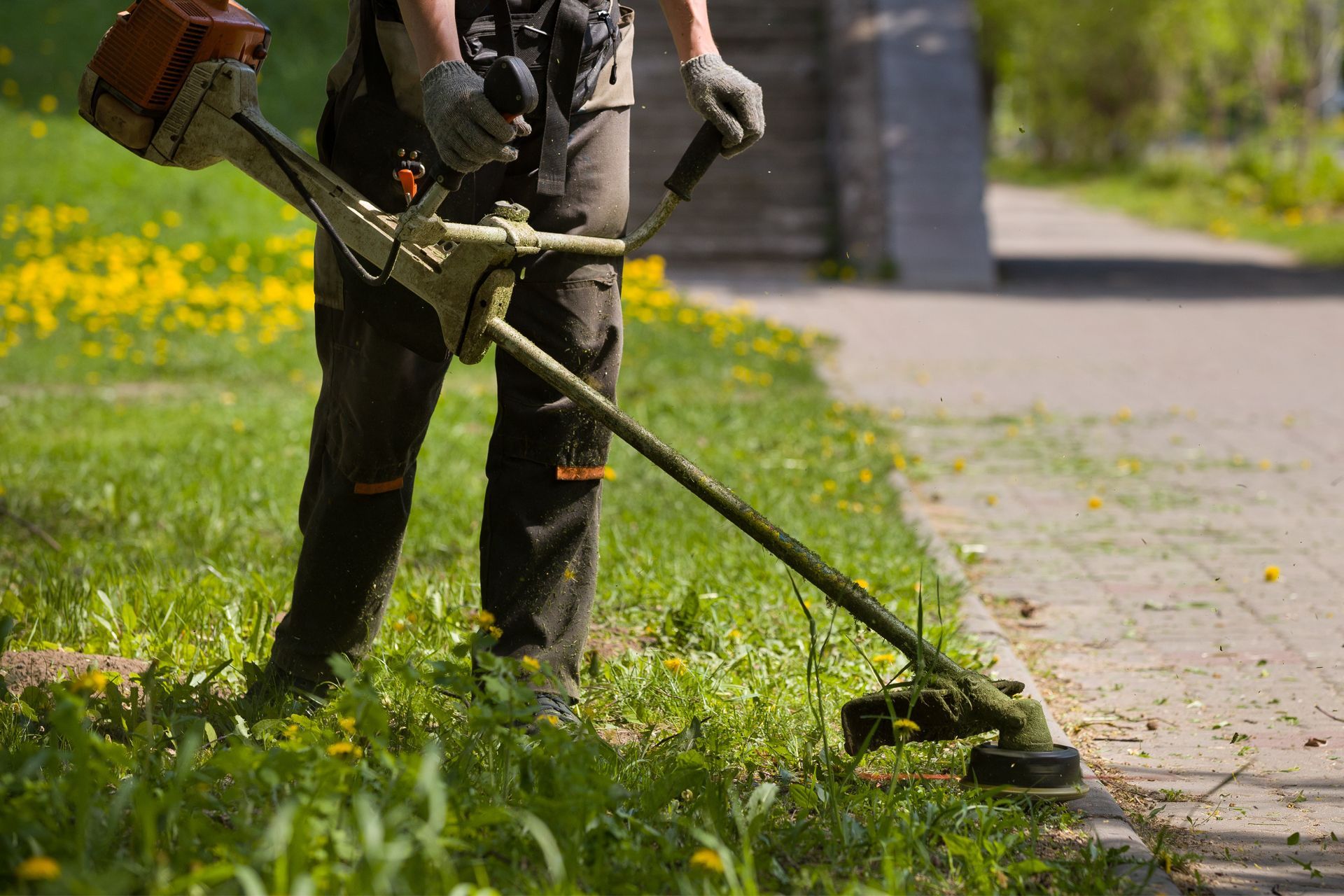 A man is cutting grass with a lawn mower in a park
