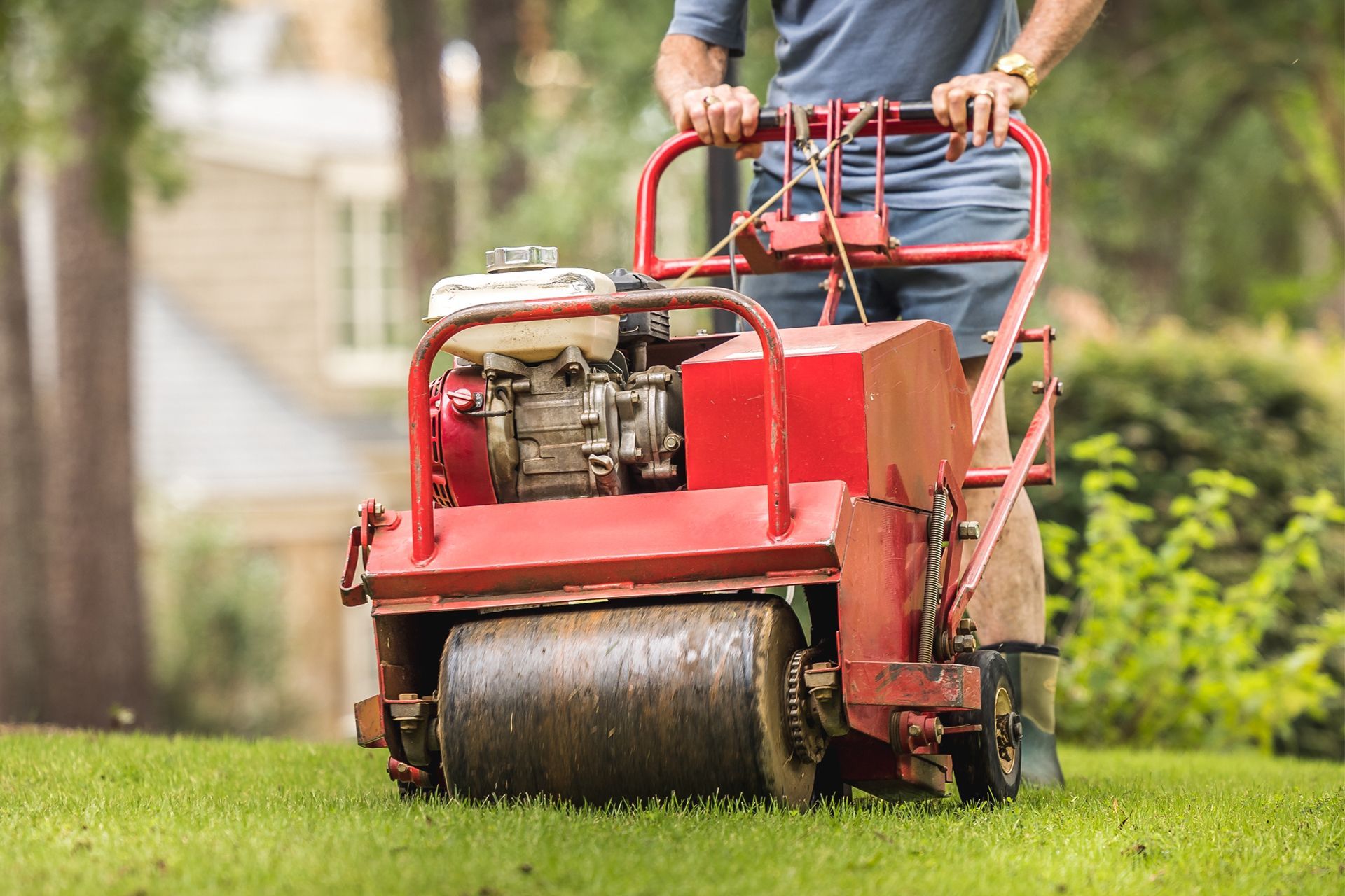 A man is using a lawn roller to spread fertilizer on a lush green lawn