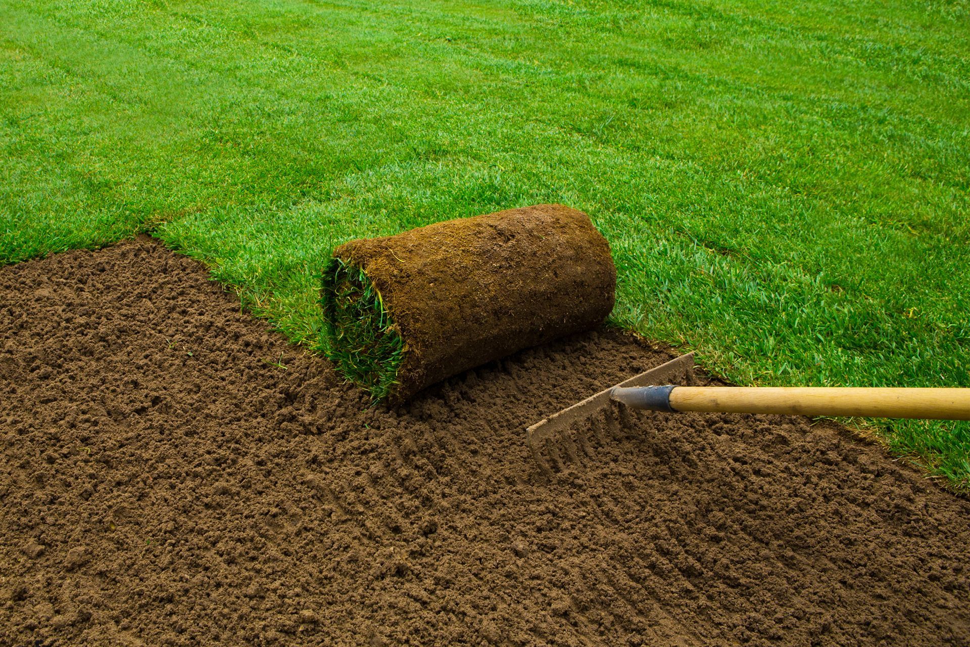 A roll of turf is being laid on top of a pile of dirt next to a rake