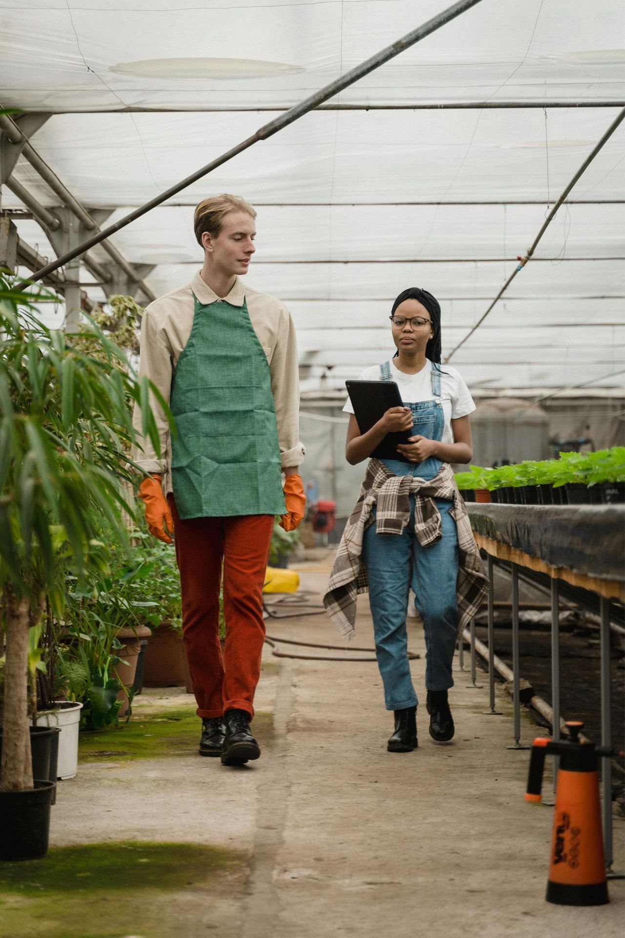 A man and a woman are walking through a greenhouse