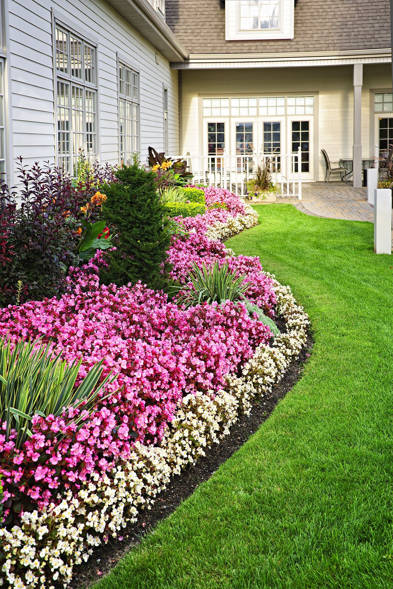 A garden with pink and white flowers in front of a house