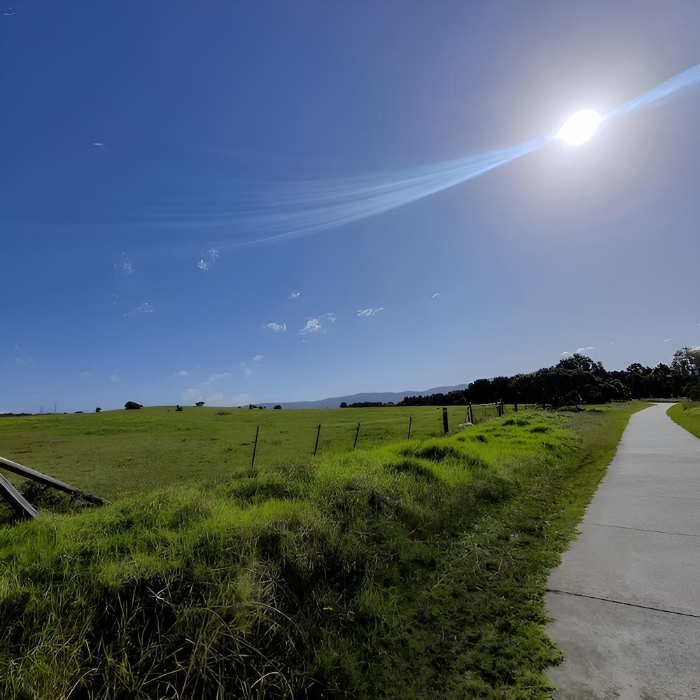 The Sun is Shining Brightly Over a Grassy Field— Washing Line in Dapto, NSW