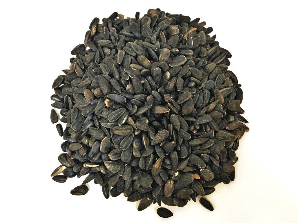 Black Sunflower Seeds 