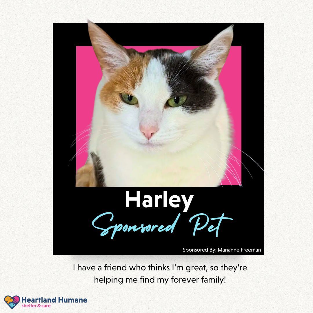 A picture of a cat with the name harley sponsored pet on it.