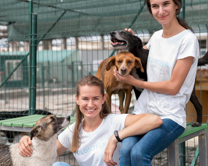 Two women are sitting on a bench with their dogs.