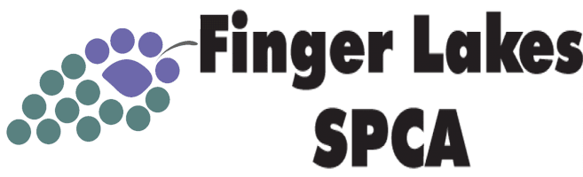 The logo for creative enterprises is a yellow circle with swirls around it.