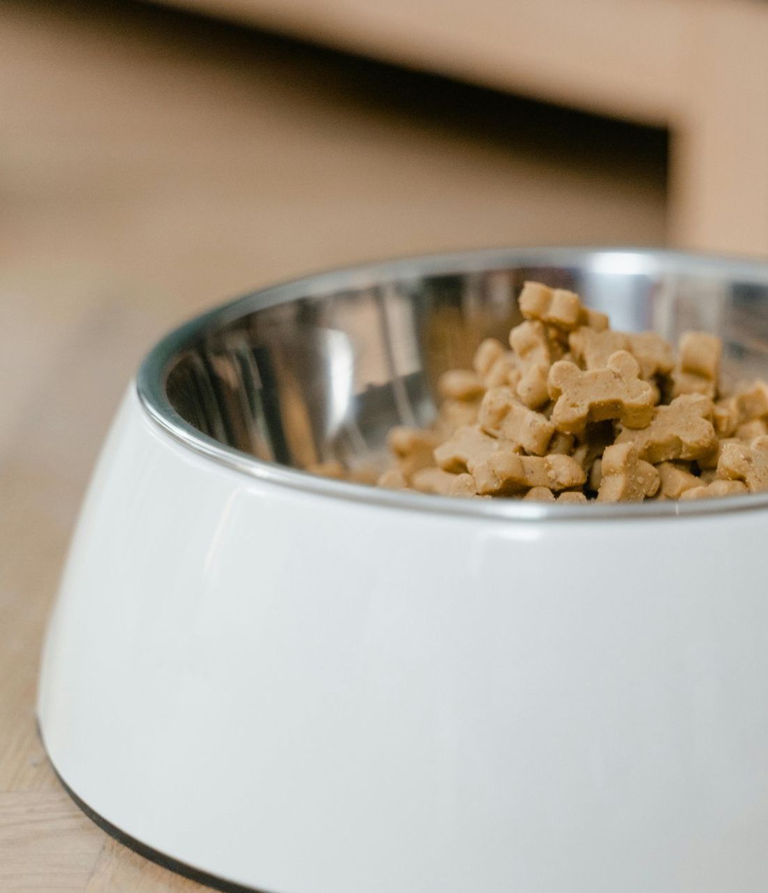 A bowl of dog food is sitting on a wooden table.
