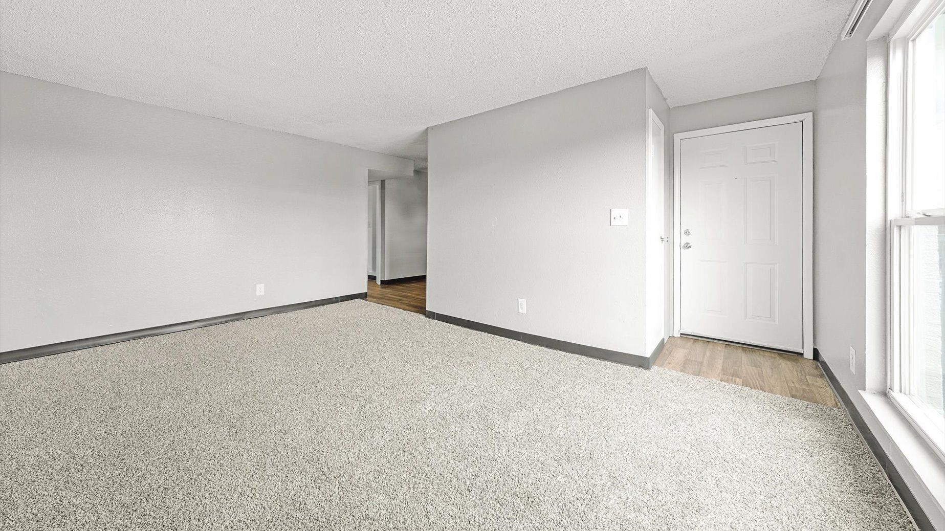 Empty living area with gray walls, carpet, front door on the right, and a large window.