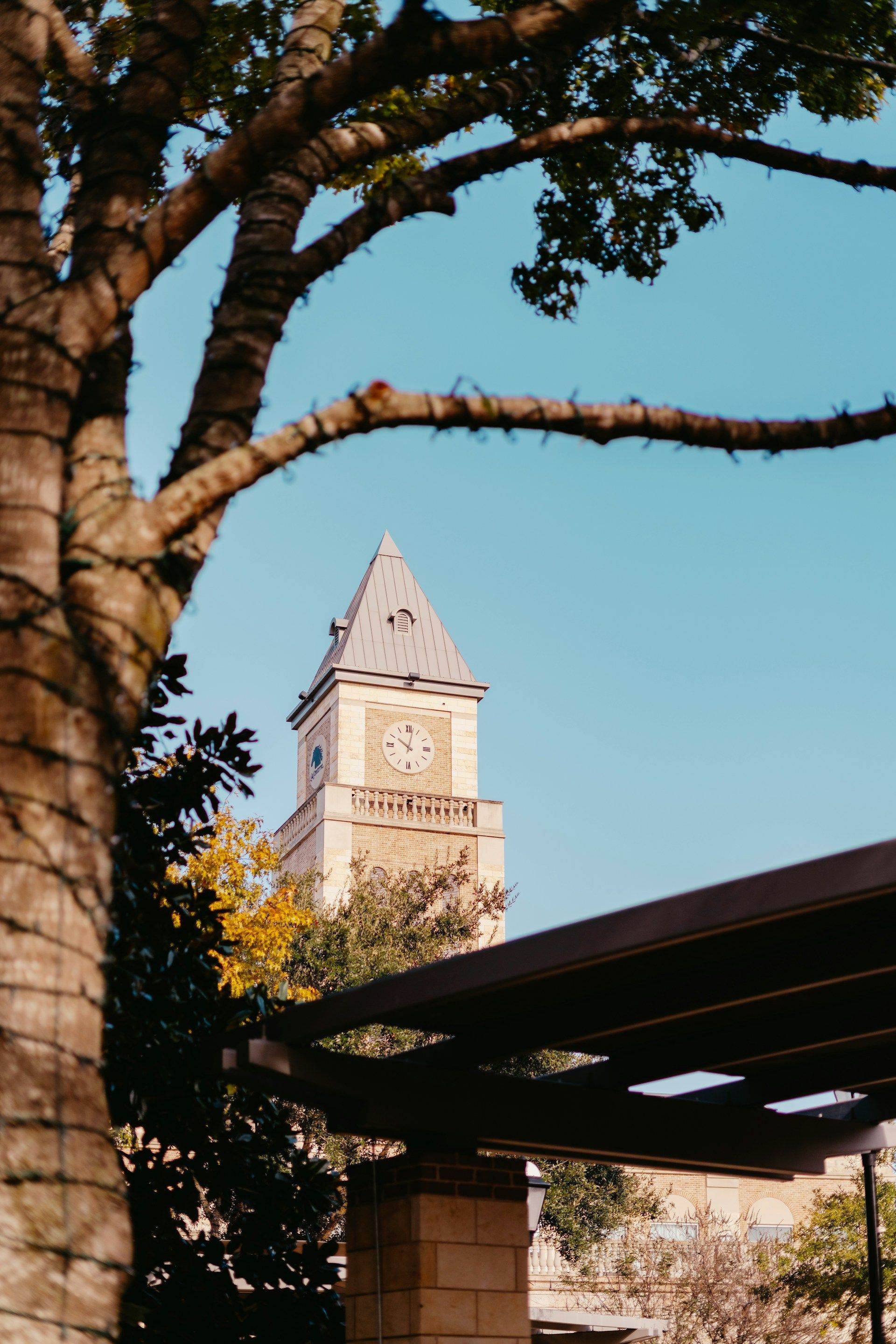 Clock tower framed by trees and a pergola against a blue sky